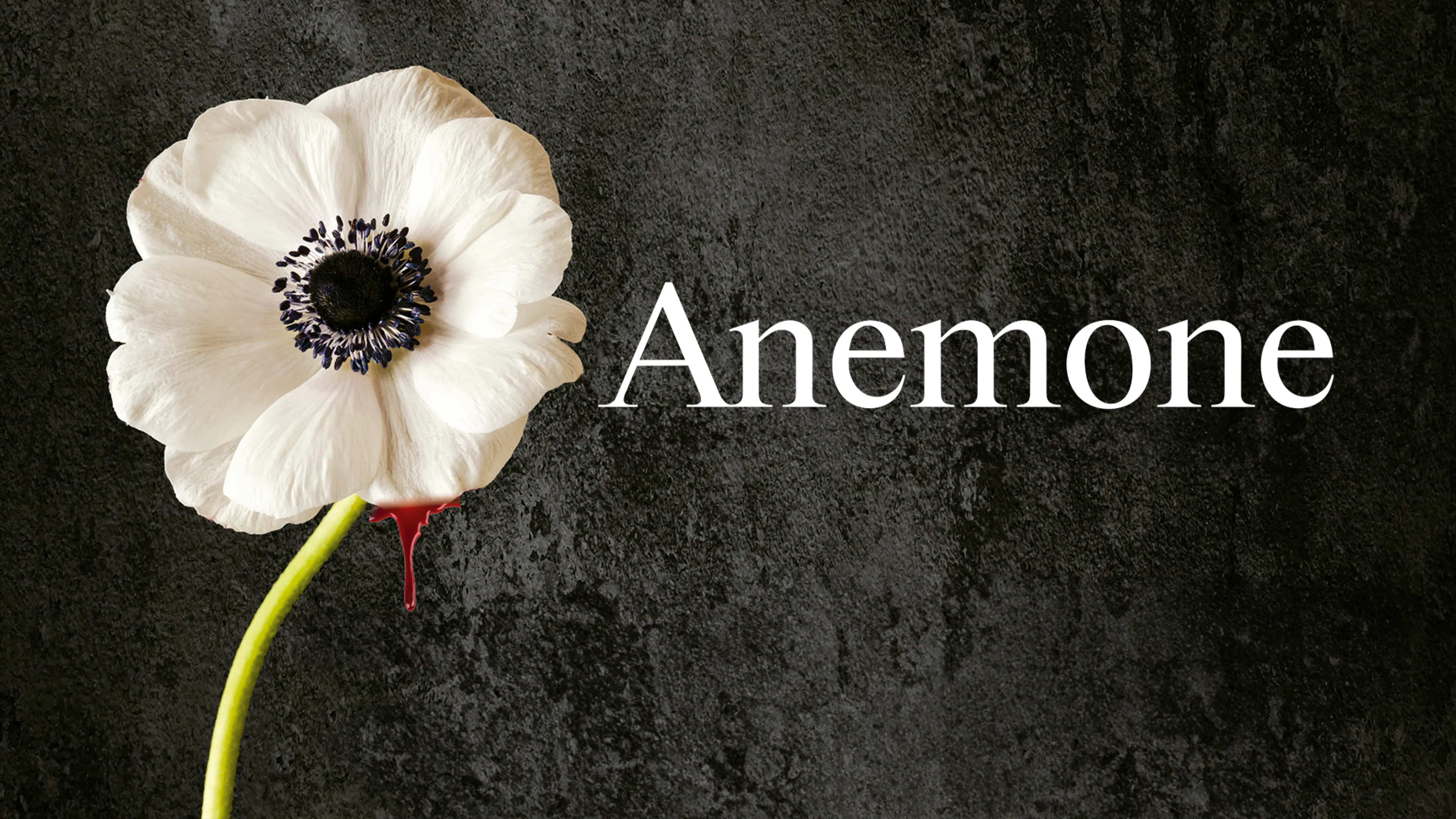 Anemone poster